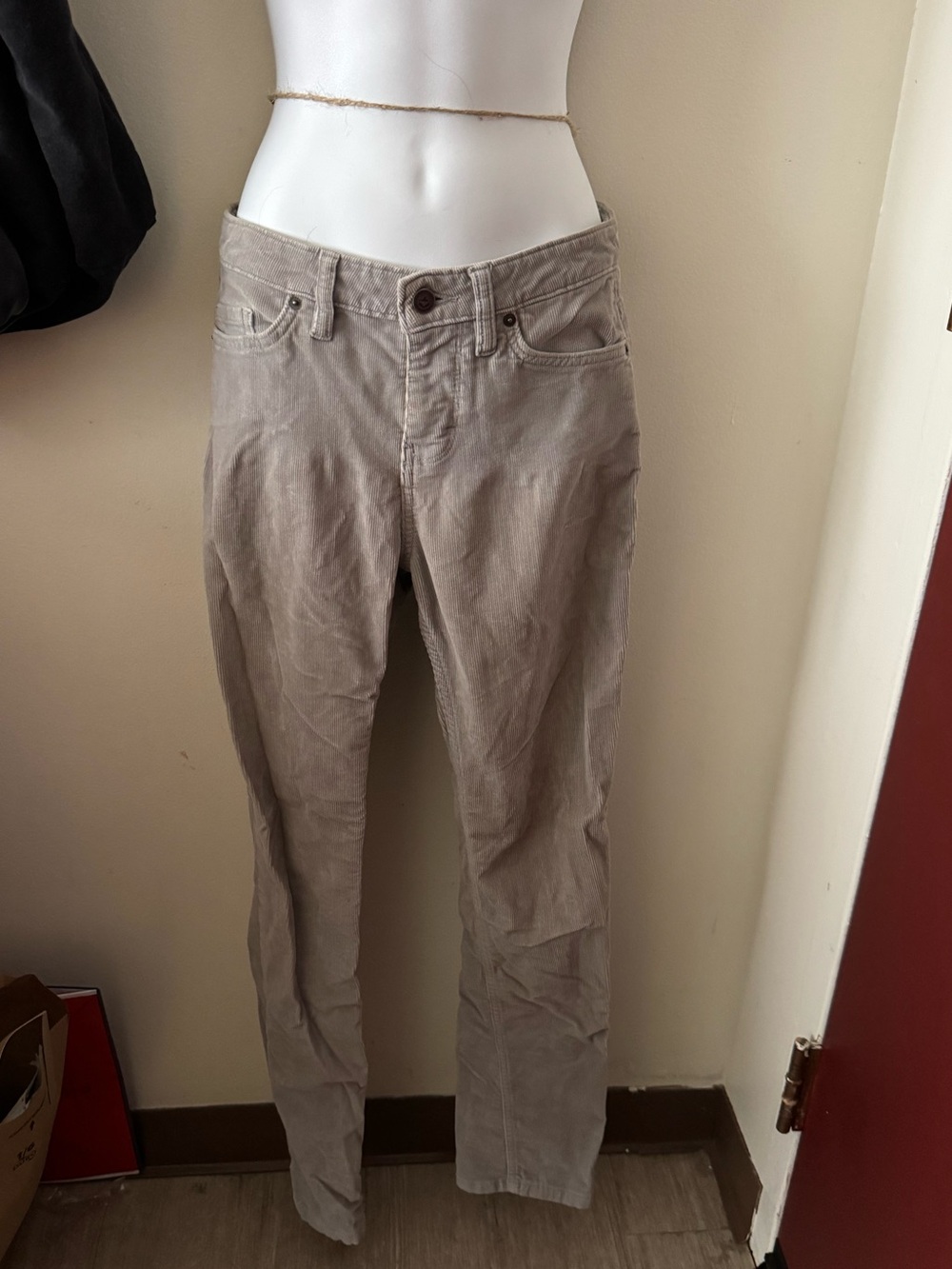 Patagonia Taupe Corduroy Pants - Light Gray Beige